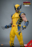 Hot Toys - Wolverine - Deadpool & Wolverine