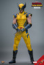 Hot Toys - Wolverine - Deadpool & Wolverine
