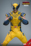 Hot Toys - Wolverine - Deadpool & Wolverine