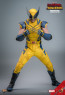 Hot Toys - Wolverine - Deadpool & Wolverine