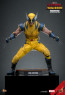 Hot Toys - Wolverine - Deadpool & Wolverine