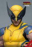 Hot Toys - Wolverine - Deadpool & Wolverine