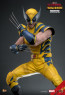 Hot Toys - Wolverine - Deadpool & Wolverine