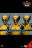 Hot Toys - Wolverine - Deadpool & Wolverine