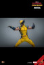 Hot Toys - Wolverine - Deadpool & Wolverine