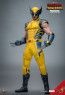 Hot Toys - Wolverine - Deadpool & Wolverine