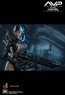 Alien Girl - Alien vs. Predator - Hot Toys