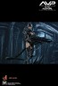 Alien Girl - Alien vs. Predator - Hot Toys