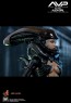 Alien Girl - Alien vs. Predator - Hot Toys