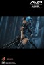 Alien Girl - Alien vs. Predator - Hot Toys