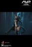 Alien Girl - Alien vs. Predator - Hot Toys