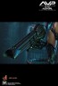 Alien Girl - Alien vs. Predator - Hot Toys