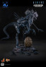 Hot Toys - Alien Qeen - Aliens