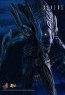 Alien Warrior - Aliens - Hot Toys