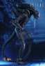 Alien Warrior - Aliens - Hot Toys