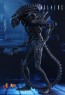 Alien Warrior - Aliens - Hot Toys