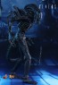 Alien Warrior - Aliens - Hot Toys