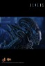 Alien Warrior - Aliens - Hot Toys