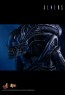 Alien Warrior - Aliens - Hot Toys