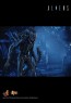 Alien Warrior - Aliens - Hot Toys