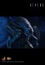 Alien Warrior - Aliens - Hot Toys