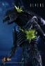 Alien Warrior - Aliens - Hot Toys