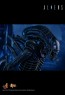 Alien Warrior - Aliens - Hot Toys