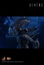Alien Warrior - Aliens - Hot Toys