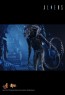 Alien Warrior - Aliens - Hot Toys