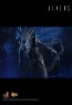 Alien Warrior - Aliens - Hot Toys