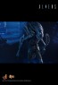 Alien Warrior - Aliens - Hot Toys
