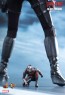 Black Widow - Captain America: Civil War - HotToys