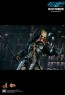 Hot Toys - Celtic Predator - Incredible Figures