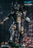Hot Toys - Celtic Predator - Incredible Figures