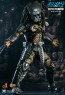 Hot Toys - Celtic Predator - Incredible Figures
