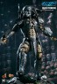 Hot Toys - Celtic Predator - Incredible Figures