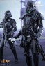 Death Trooper Specialist - Deluxe Version HotToys