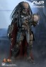 Elder Predator - Alien vs. Predator - Hot Toys