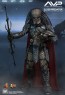 Elder Predator - Alien vs. Predator - Hot Toys