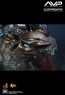 Elder Predator - Alien vs. Predator - Hot Toys