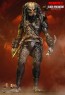 Hot Toys - Edel Predator - Incredible Figures