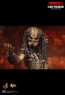 Hot Toys - Edel Predator - Incredible Figures