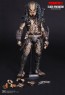 Hot Toys - Edel Predator - Incredible Figures