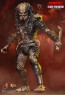 Hot Toys - Edel Predator - Incredible Figures