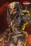 Hot Toys - Edel Predator - Incredible Figures