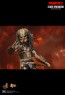 Hot Toys - Edel Predator - Incredible Figures