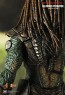 Falconer Predators - Hot Toys
