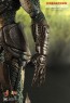 Falconer Predators - Hot Toys