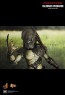 Falconer Predators - Hot Toys