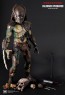 Falconer Predators - Hot Toys